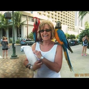 Meet your Posher, Halane